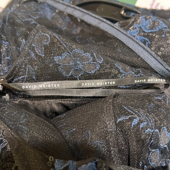 David Meister embroidered 3-D lace short sleeves long gown - Picture 12 of 13